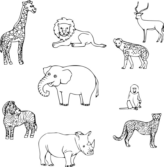 Disegno di Animali della Savana da colorare