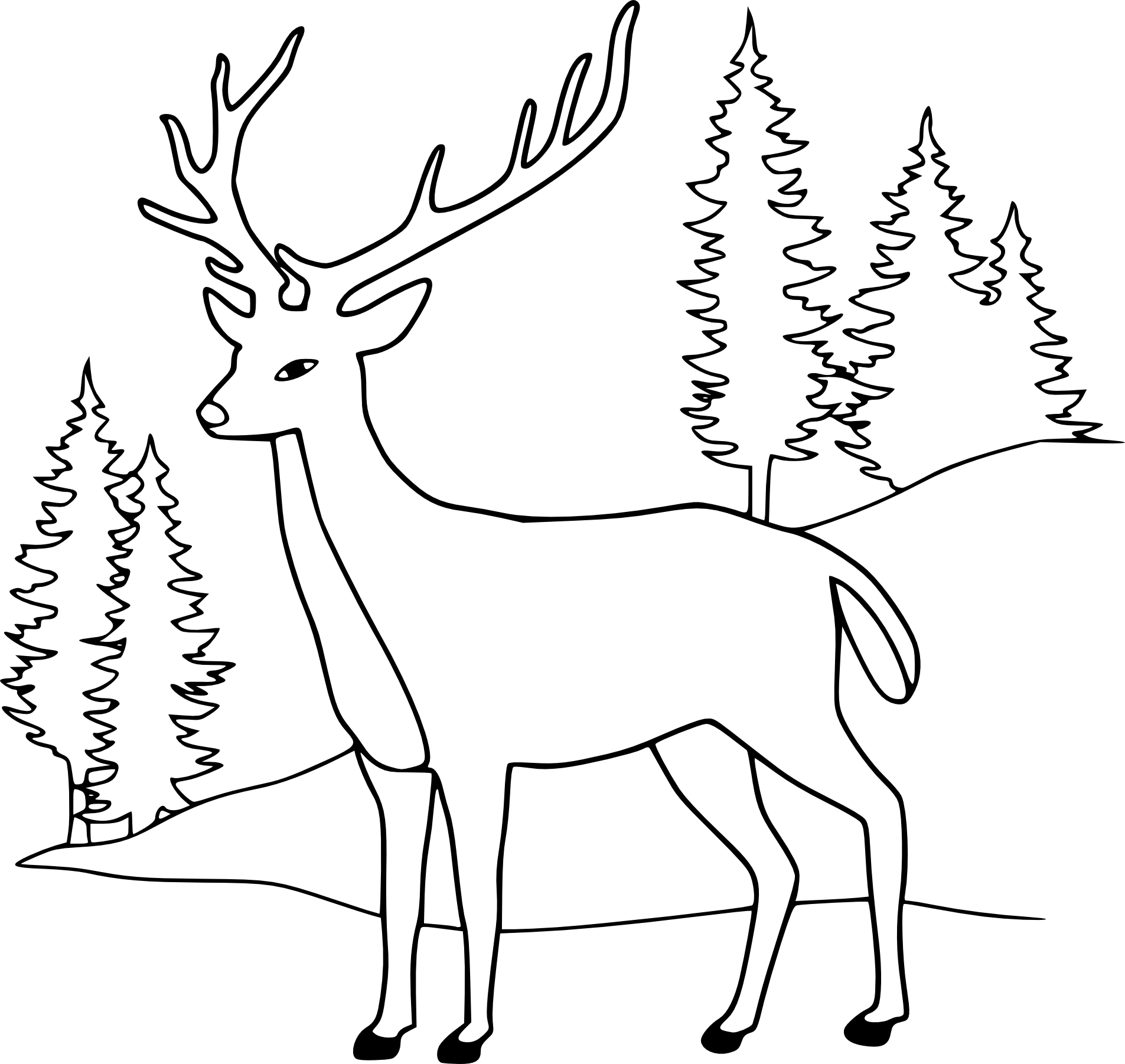 Deer coloring page