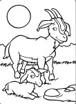 Goat Kid coloring page