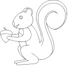 Red Squirrel coloring page