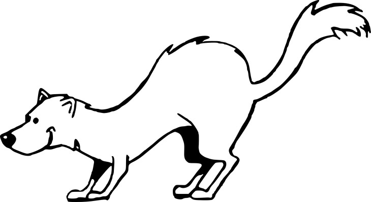 Ferret coloring page