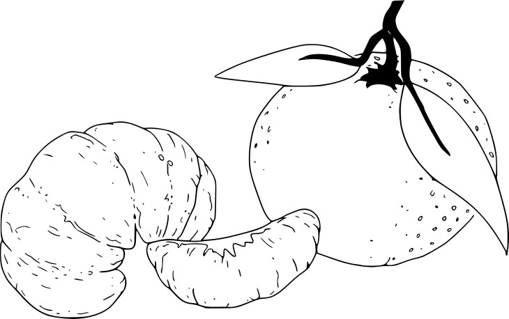 Mandarin Orange coloring page