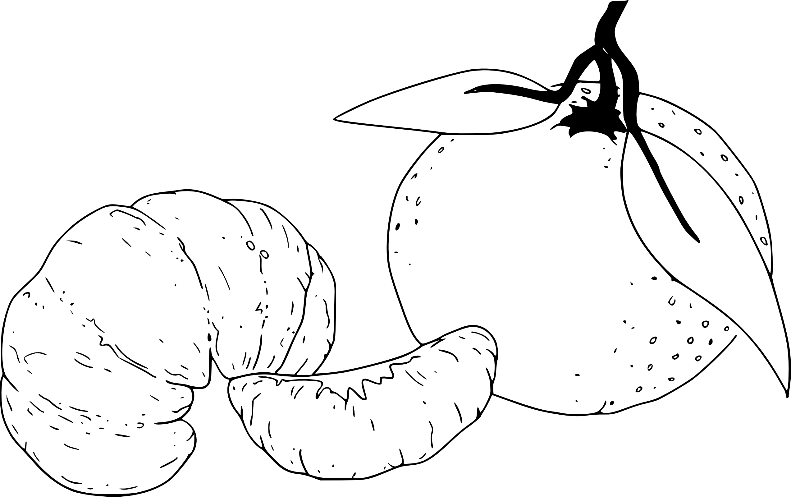 Mandarin Orange coloring page