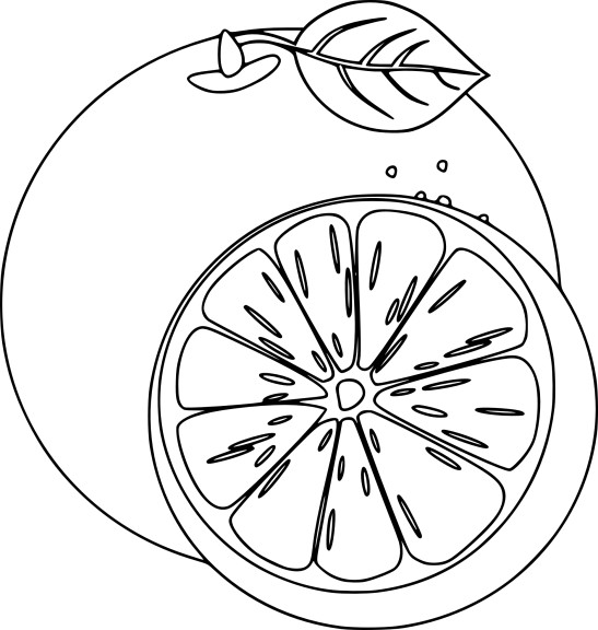 Orange coloring page