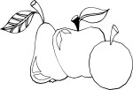 Apple Pear coloring page