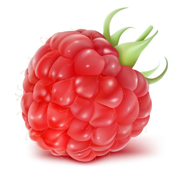 Raspberry drawing and