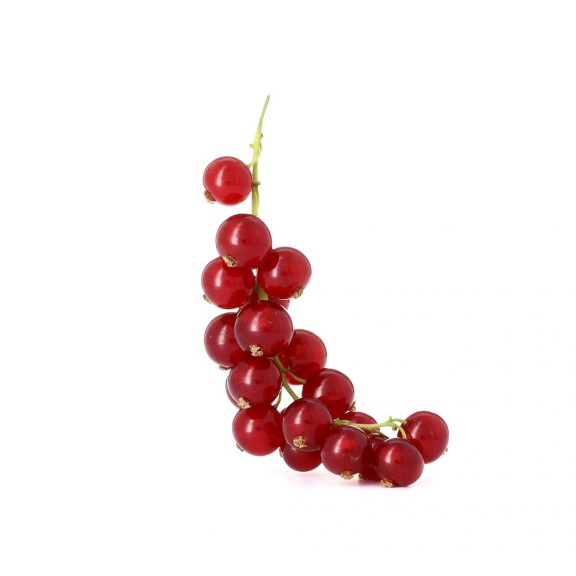 Currant