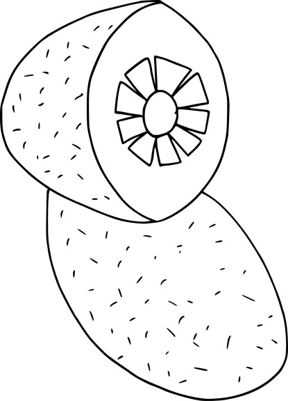 Kiwi drawing and coloring page