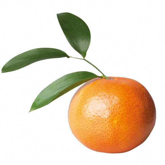 Mandarine fruit