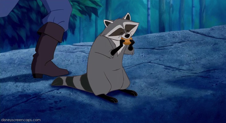 Meeko Disney