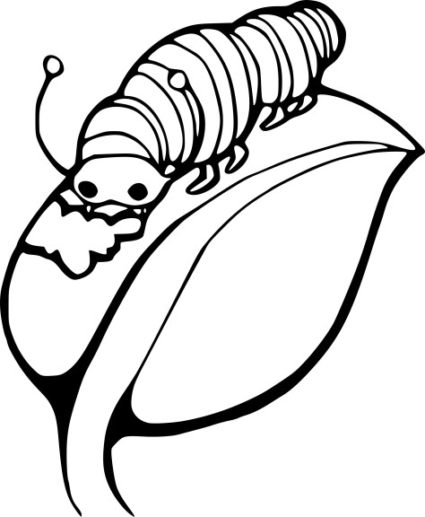 Caterpillar Eats A Leaf coloring page