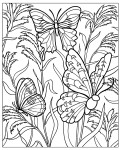 Difficult Butterfly coloring page