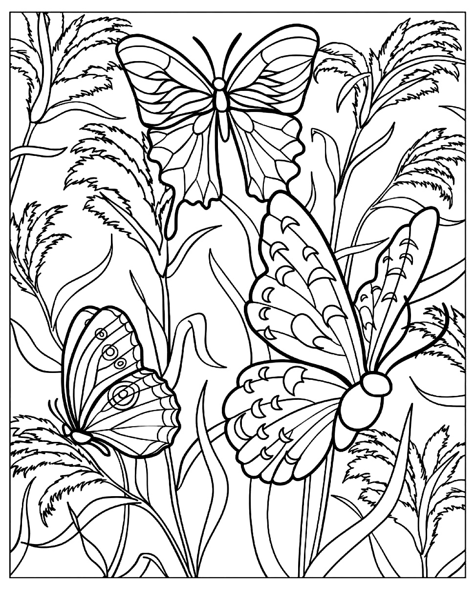 Coloriage difficile papillon