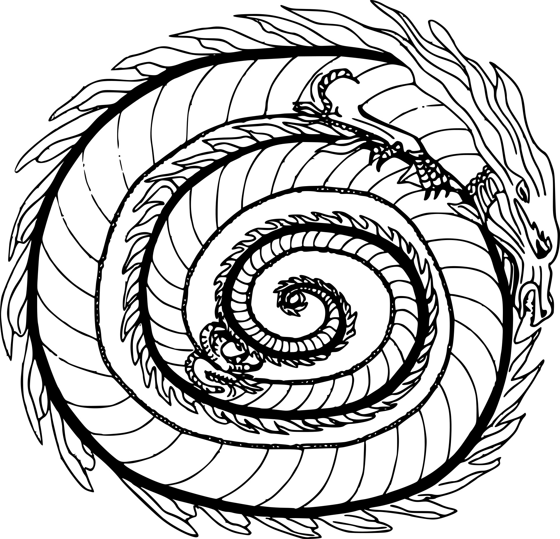 Coloriage mandala dragon à imprimer