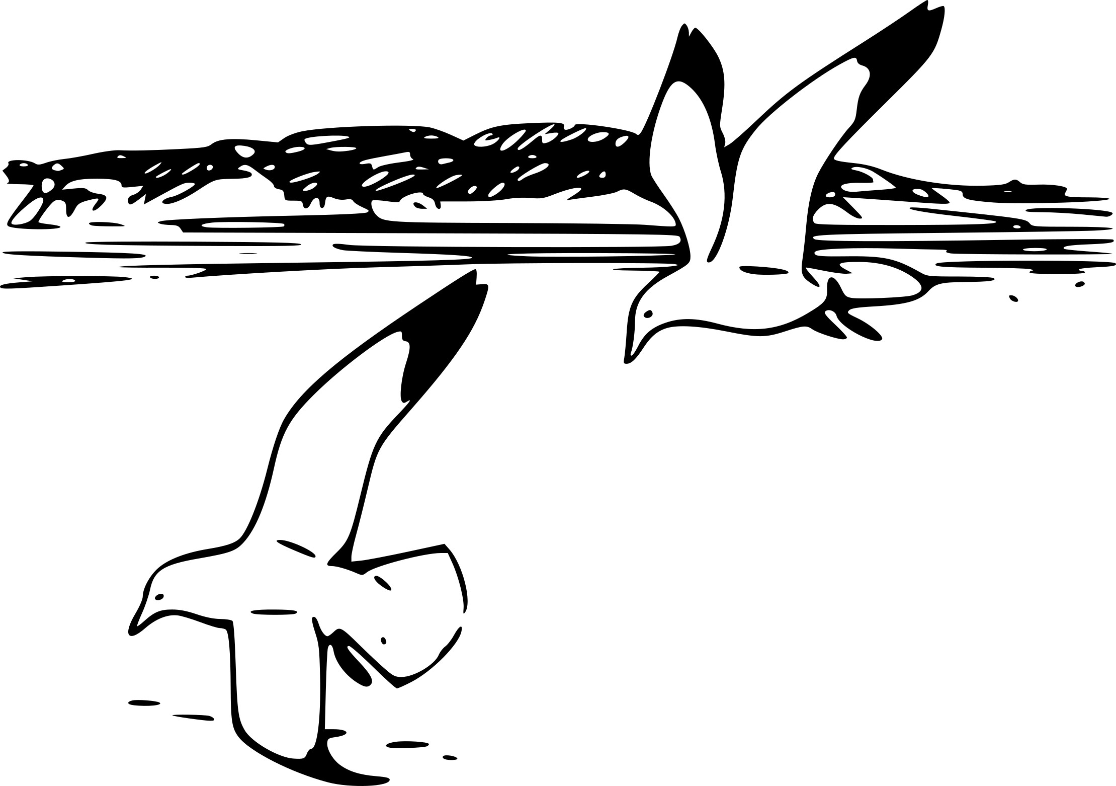 Goeland Bird coloring page