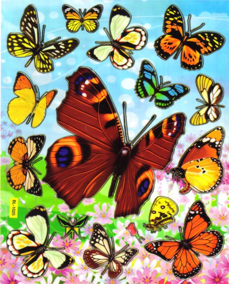 Des papillons