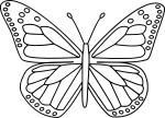 Butterfly drawing and coloring page