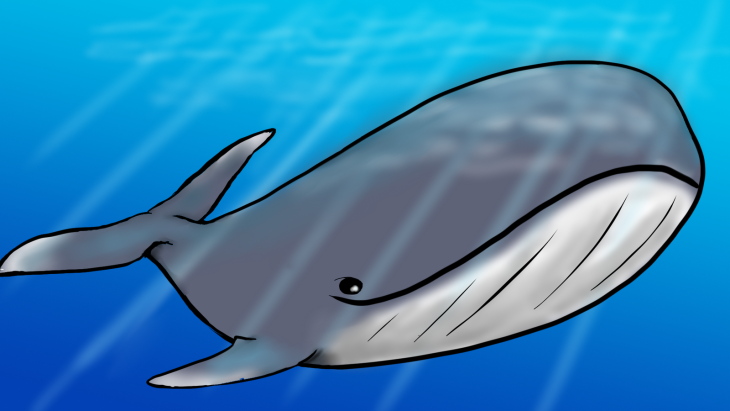 Baleine