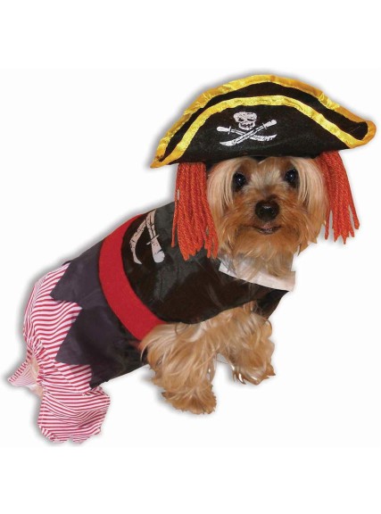 Chien pirate