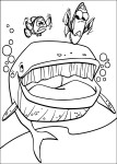 Whale coloring page