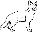 German Shepherd Dog coloring page