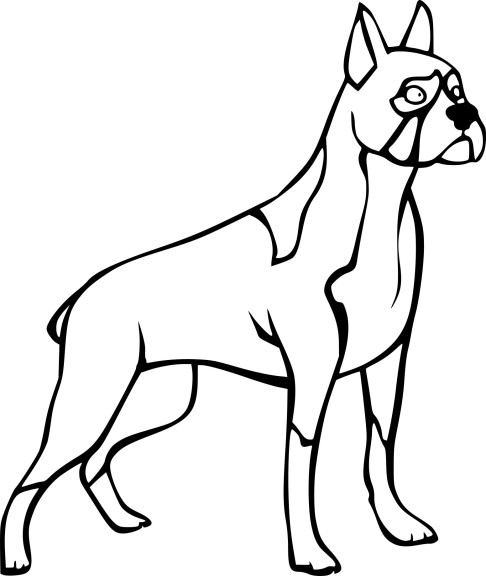 Disegno di Cane Boxer da colorare