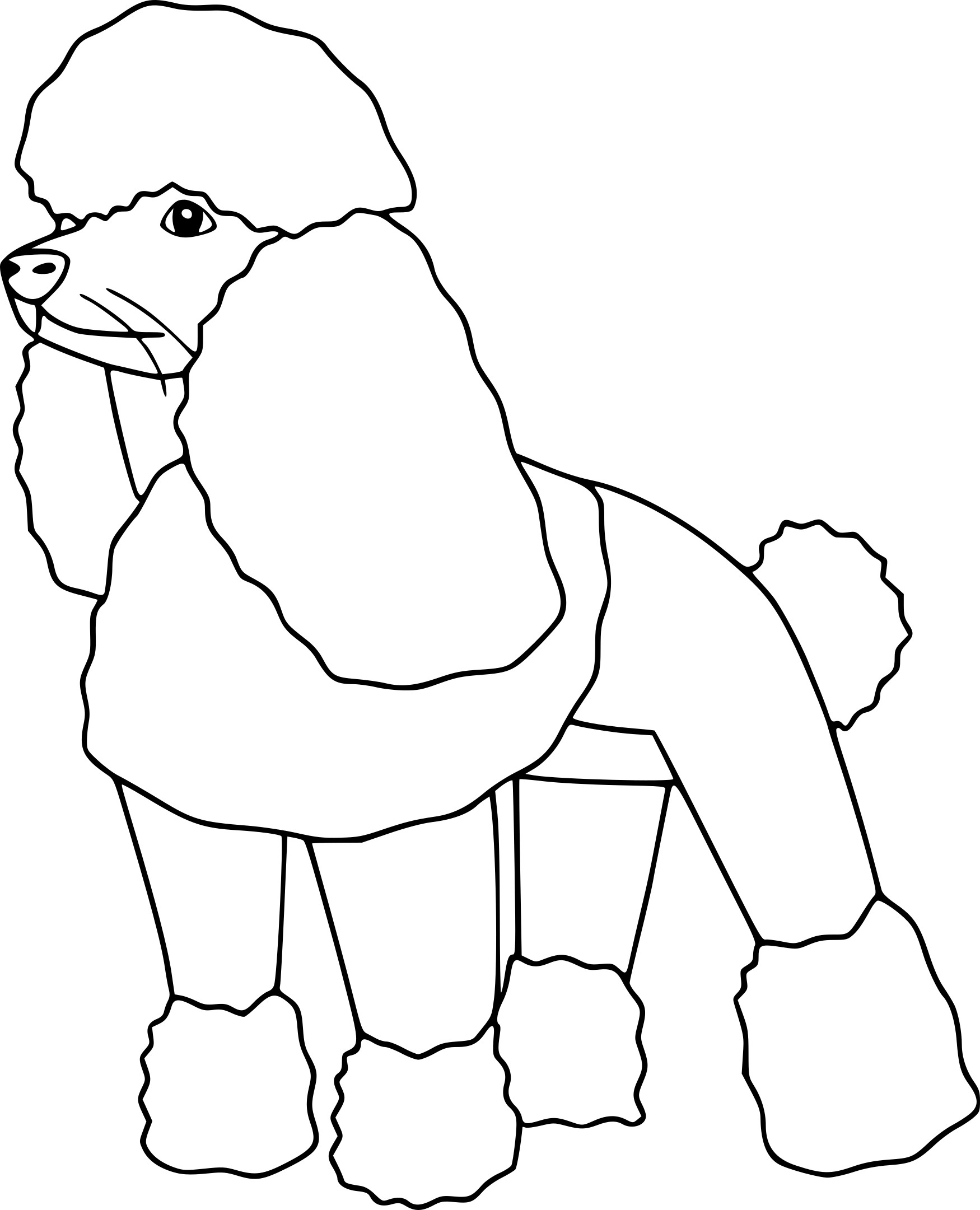 Coloriage chien caniche