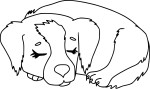 Coloriage chien qui dort