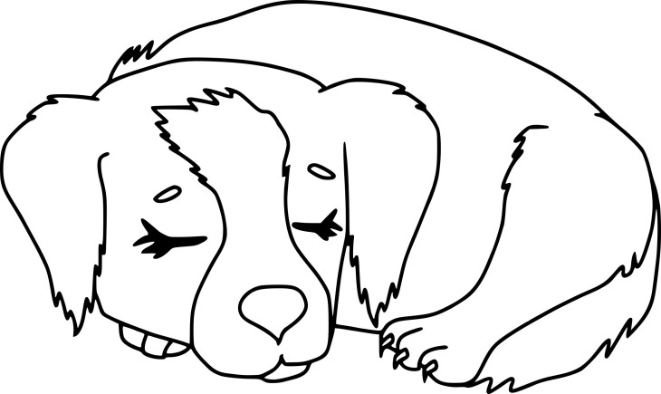 Disegno di Cane che dorme da colorare