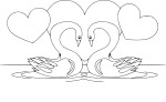 Swan In Love coloring page