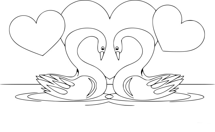 Swan In Love coloring page