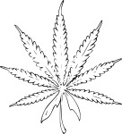 Coloriage Feuille de cannabis