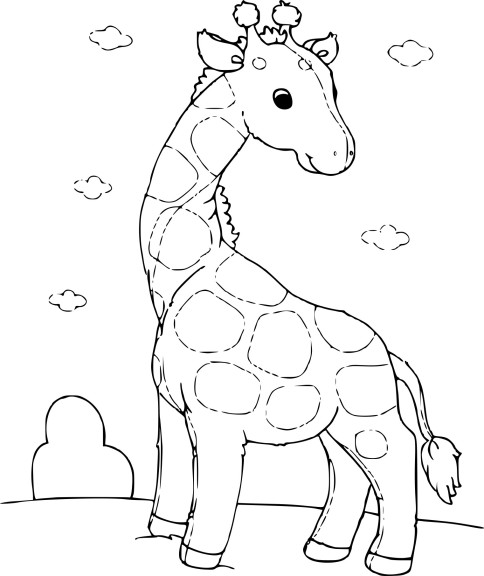 Coloriage girafon