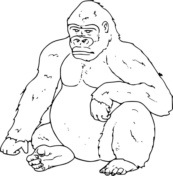 Disegno di Gorilla da colorare