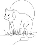 Grizzly coloring page