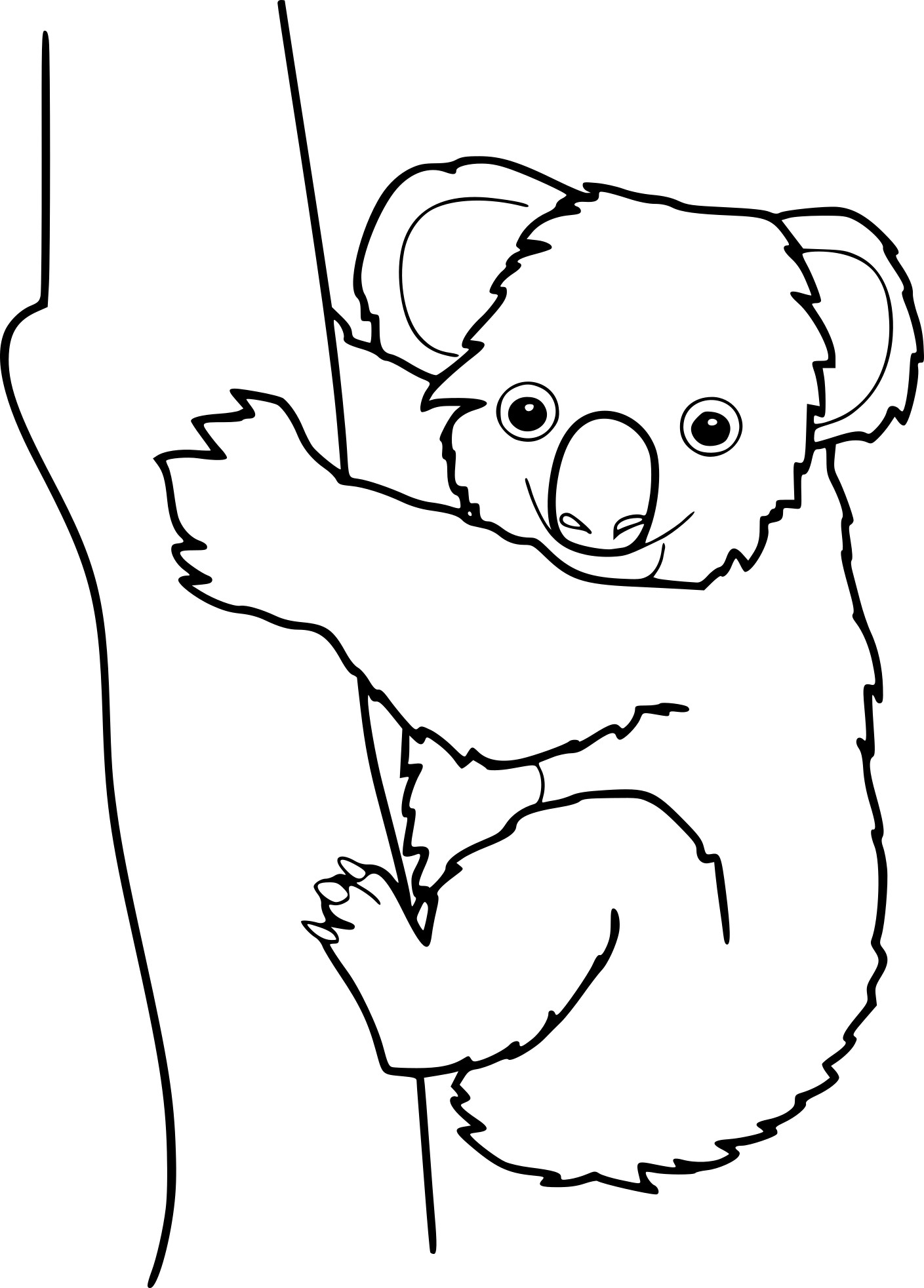 Disegno di Koala da colorare