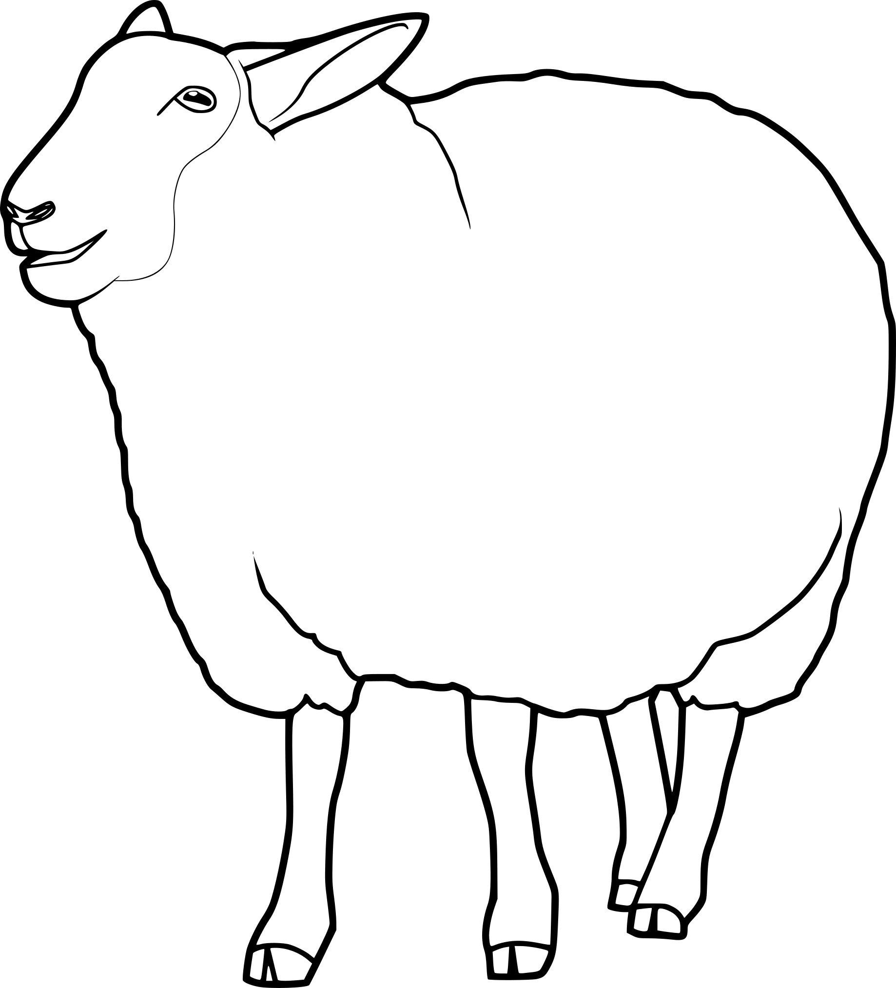 Sheep coloring page