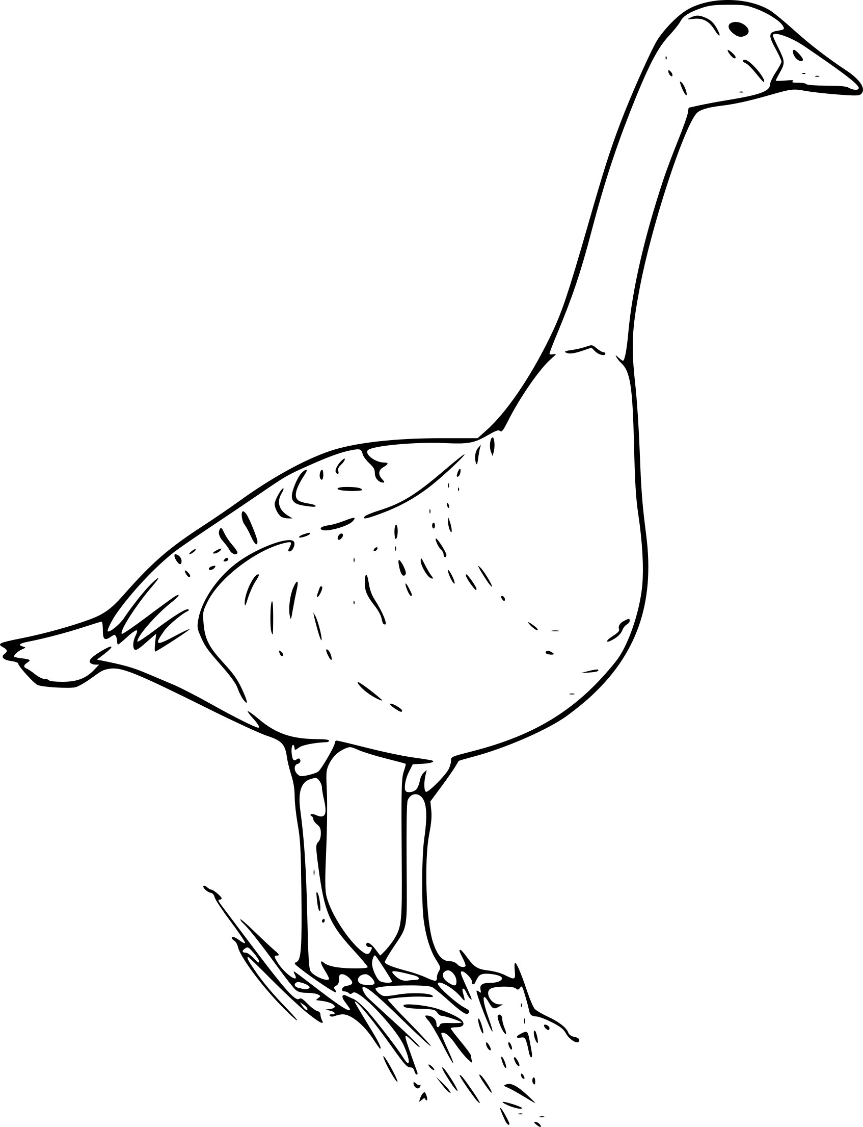 Goose coloring page