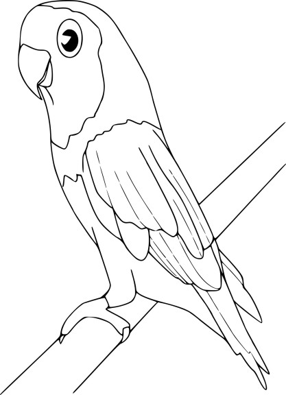 Macaw Bird coloring page