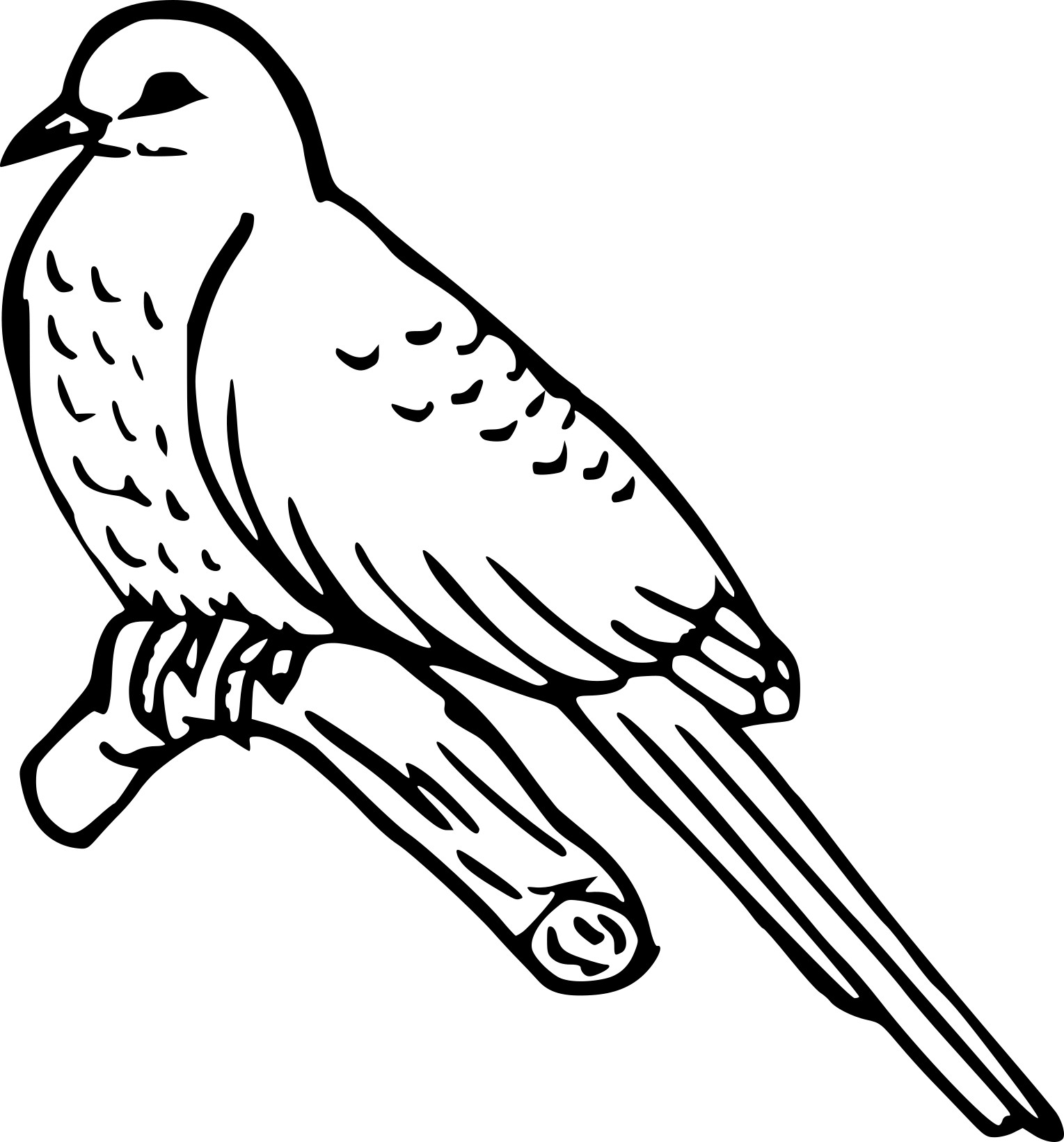 Cuckoo Bird coloring page