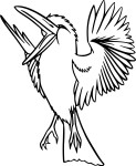 Exotic Bird coloring page