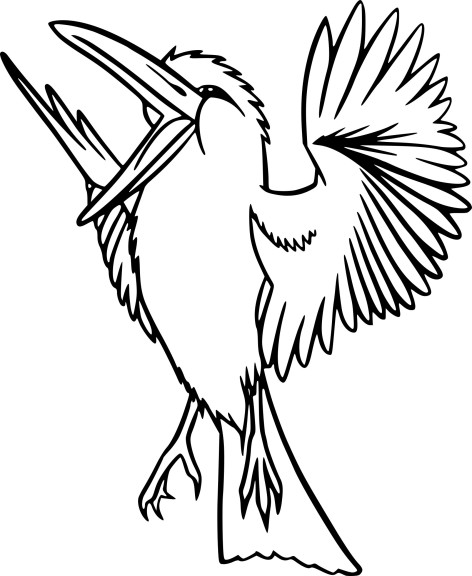 Coloriage oiseau exotique