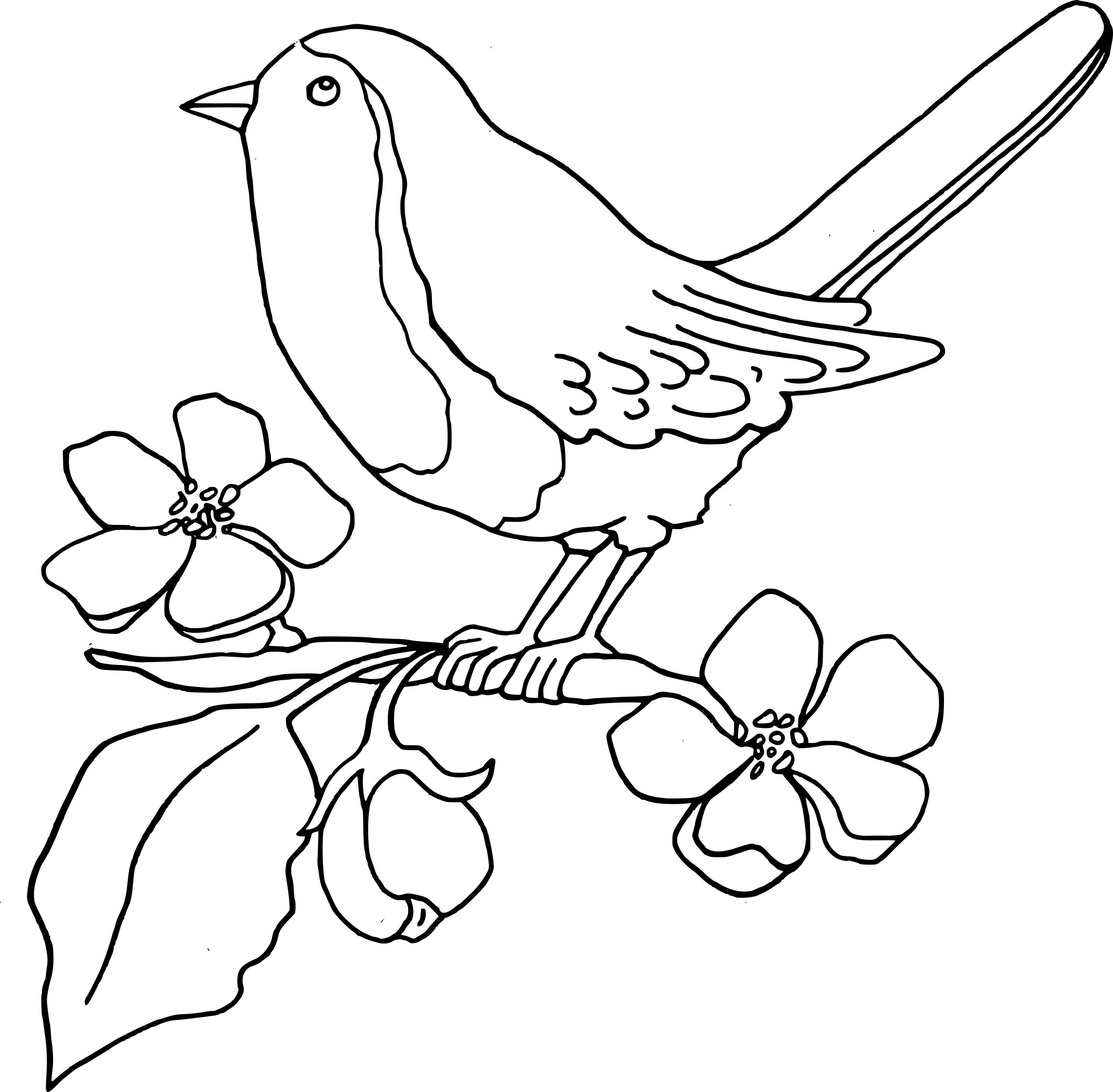 Passerine Bird coloring page