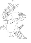 Coloriage Rafael toucan