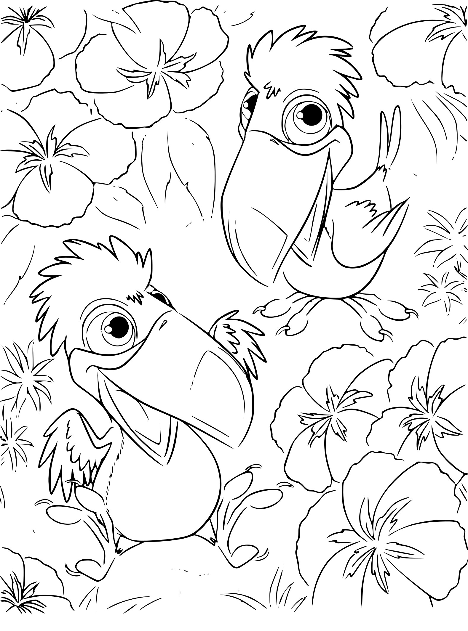 Coloriage Rio petits toucans