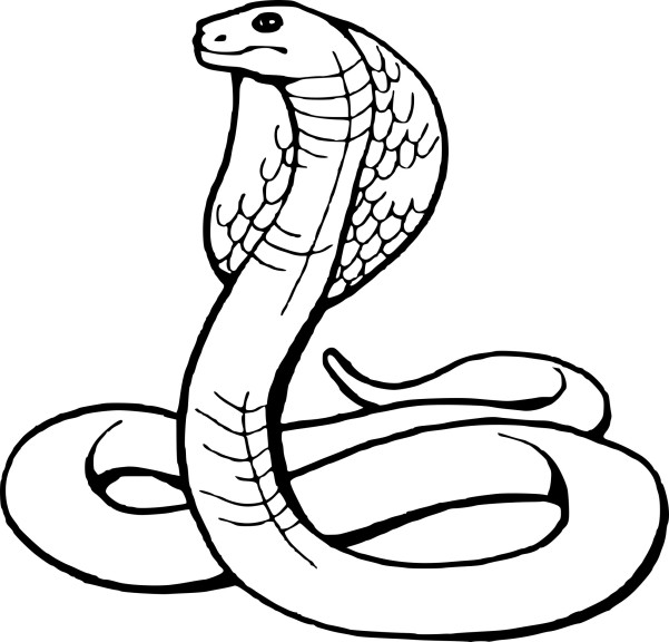 Cobra Snake coloring page