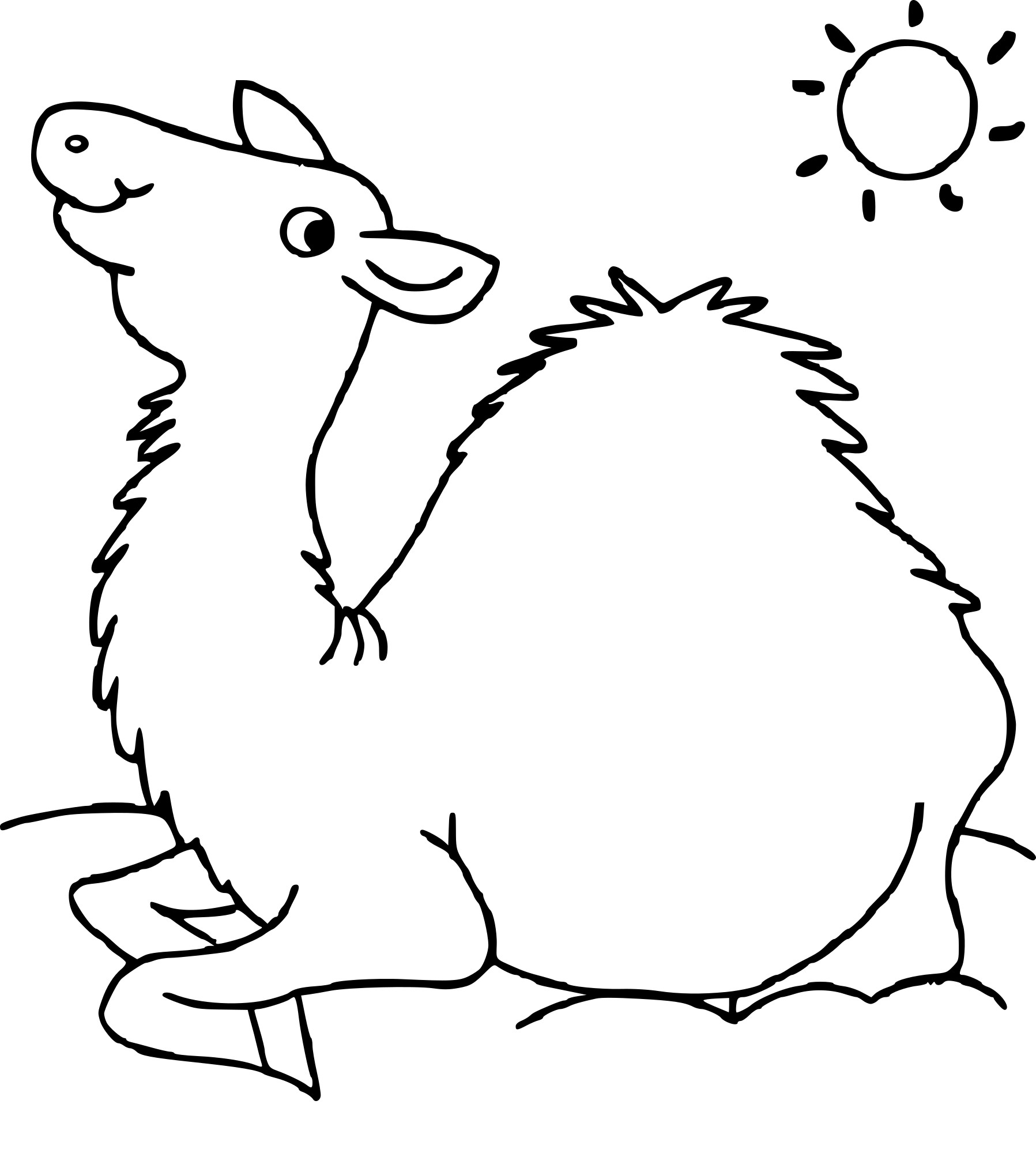 Camel drawing and coloring page