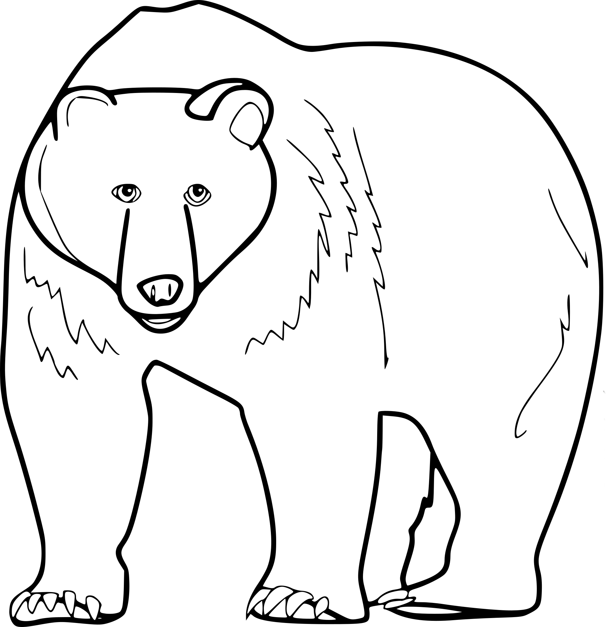 Grizzly drawing and coloring page