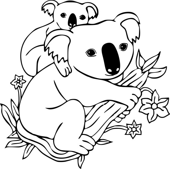 Koala drawing and coloring page