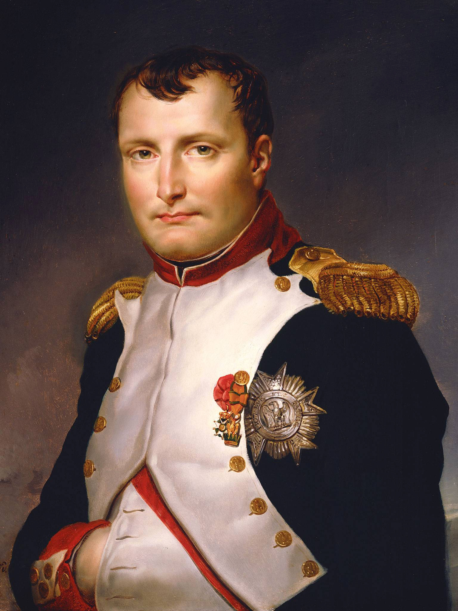 cuisinier riches Saisir photo de napoléon bonaparte a imprimer bois ...